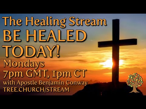 The Healing Stream | 1 Peter 2:24 | Apostle Benjamin Conway | TOL | 23/02/2026