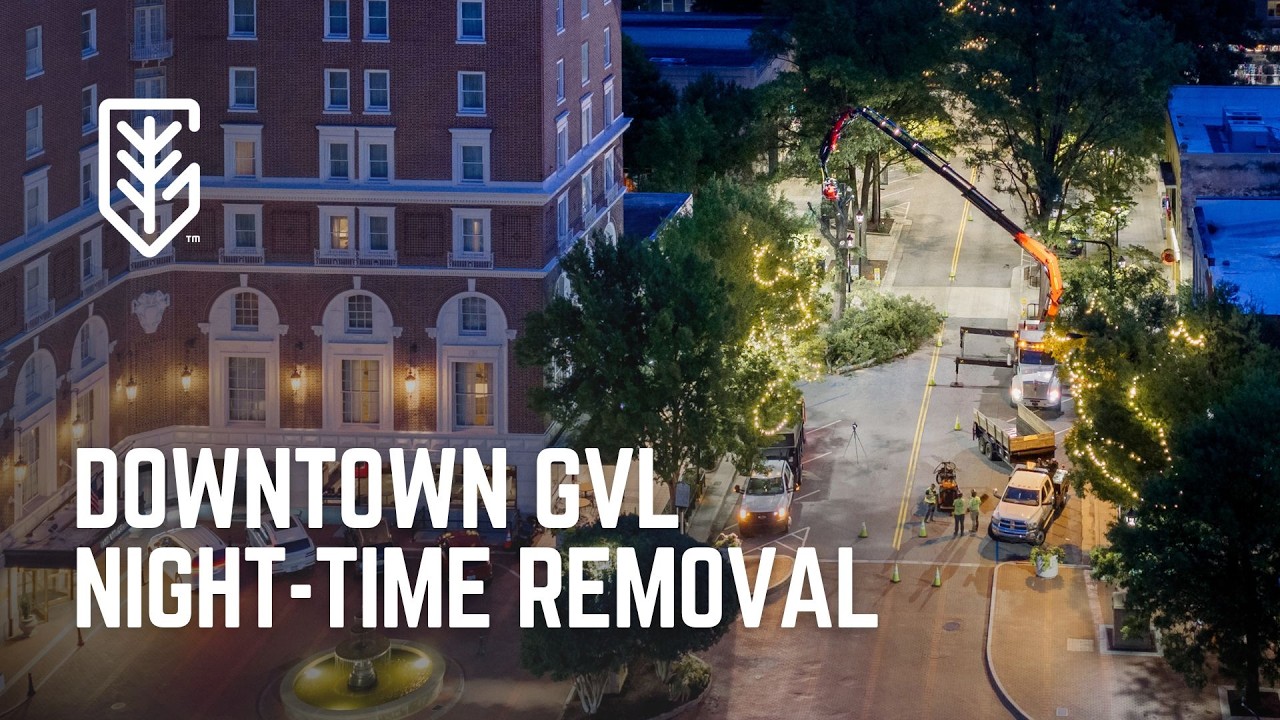Late-Night Tree Removal in Downtown Greenville