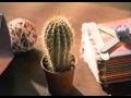 McDonald S Commercial 2005