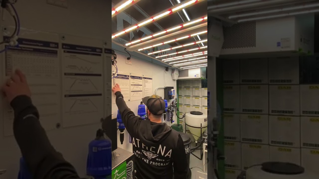 Athena Workshop Recap