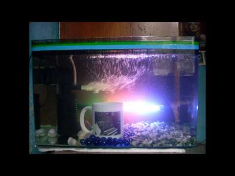 Tranquility - Housemafia Project Ktm