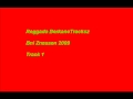 BerkaneTracksz - Reggada Bni Znassen 2009