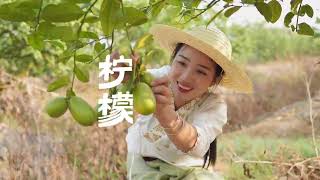 วิถีบ้านๆชาวไทลื้อ สิบสองปันนา 傣家人 西双版纳 Tailue Yunnan Xishuangbanna Life Diary