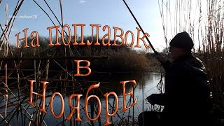 Ловля в ноябре на поплавок