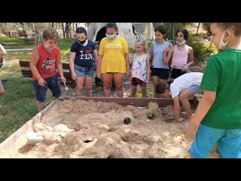 תמונה של نفس على أربع