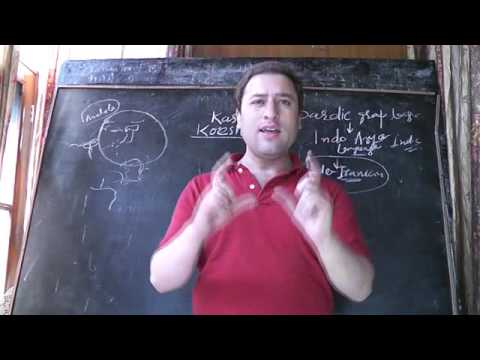 Basha sangam,history,Fight for kashmiri language,know the history of this language,we protest