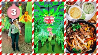 VLOGMAS 2024 ❄ Day 3 | Tianyu Lights Festival