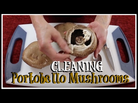 download lagu mp3 mp4 How To Prepare Bella Mushrooms, download lagu How To Prepare Bella Mushrooms gratis, unduh video klip How To Prepare Bella Mushrooms