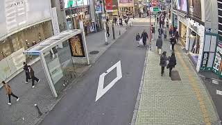 Shibuya Inokashira-dori