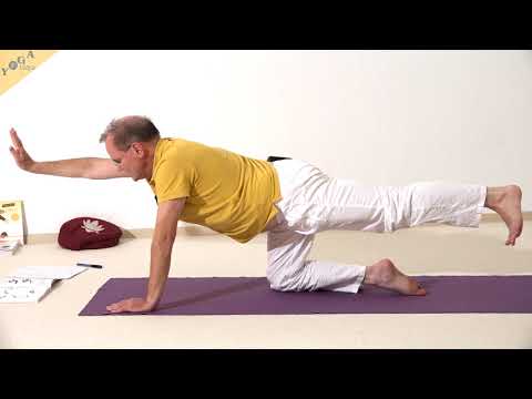 Gerade diagonale Katze mit angezogenen Füßen und Händen - Marjaryasana - Yoga Asana Lexikon