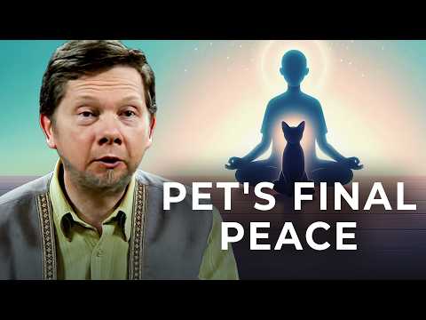 Is Euthanizing My Pet the Compassionate Choice? | Eckhart Tolle