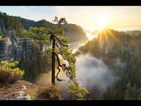 Otis McMusic   Otis McDonald No Copyright Music