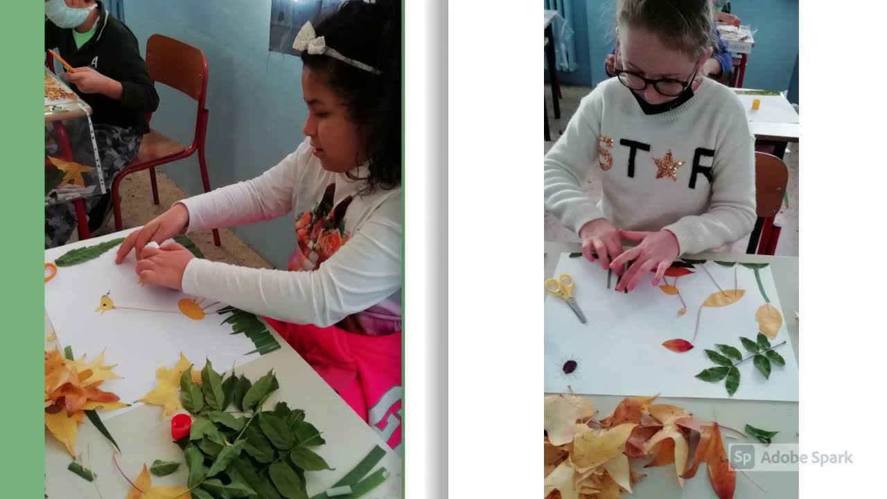 PAESAGGIO AUTUNNALE CON LE FOGLIE