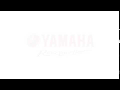2024 Yamaha Drive2 PTV QuieTech EFI in Fernandina Beach, Florida - Video 6