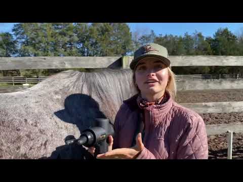 YouTube video about: How to use a massage gun on a horse?