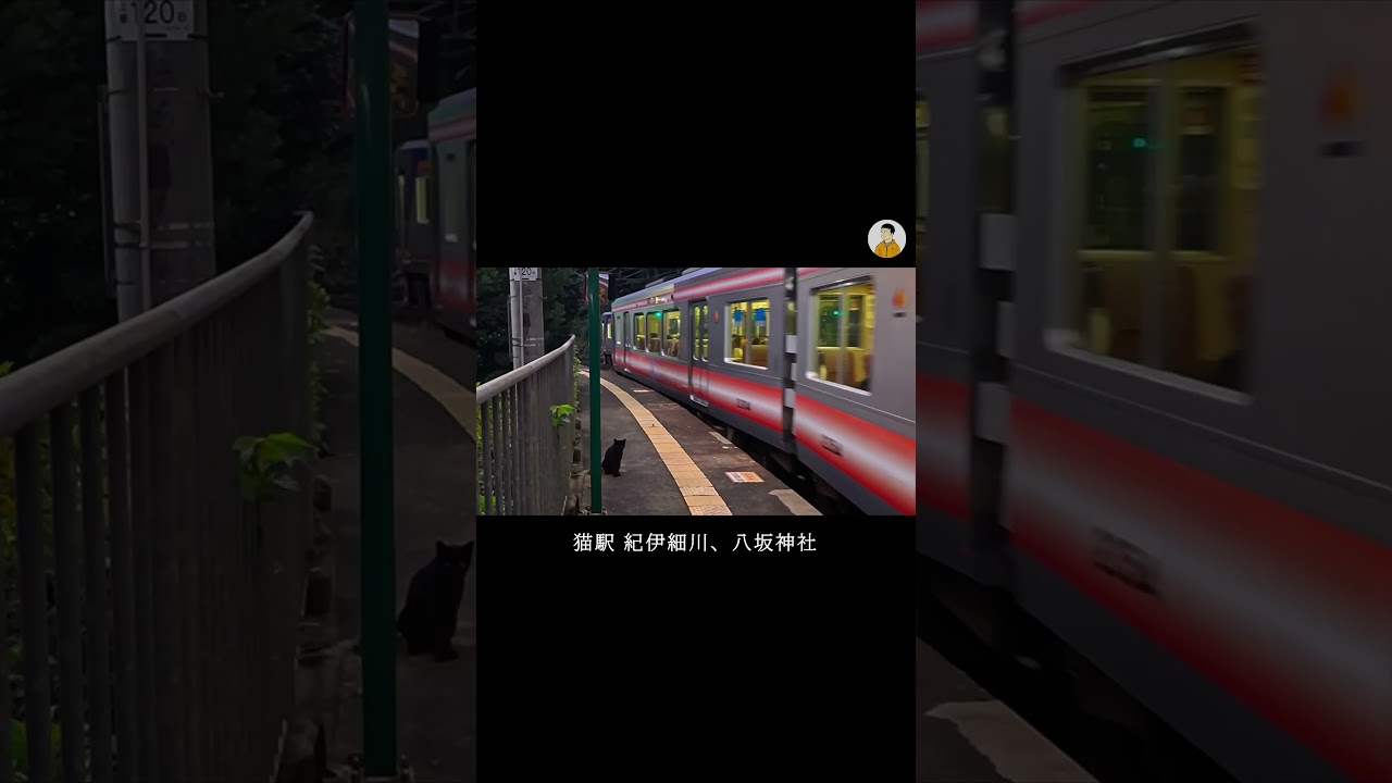 集落訪道記　空海の高野山