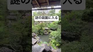 Twine #movie #music #shortvideo #夫婦 #日常 #日常 #shorts