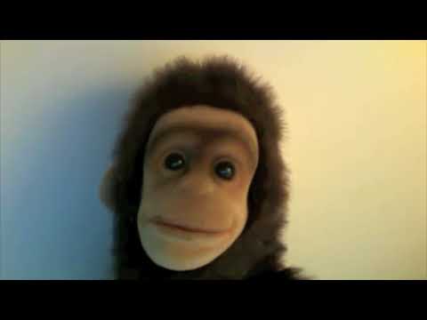 The Orville - Review of Episode 6, "KRILL,"  Review by a monkey