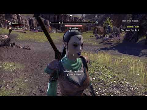 Quests w/Hanibunn(Saturday Night Special) 02/06/21