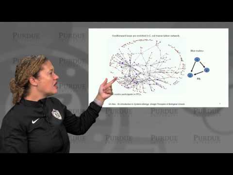 nanoHUB-U Biodesign L3.5: Gene Circuits - Feed Forward Loops I