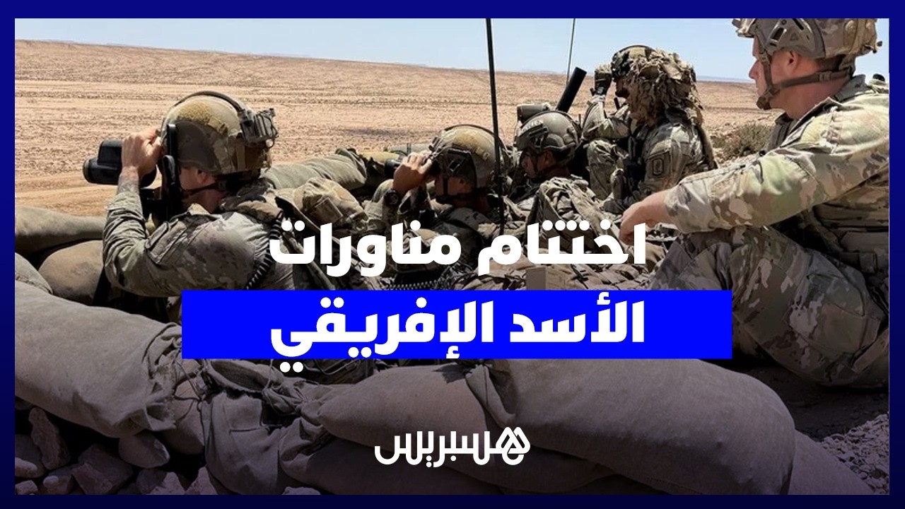 بمشاركة 40 دولة.. "الأسد الإفريقي 2026" يختتم فعالياته بالمغرب بتأكيد على الريادة الإقليمية للمملكة. thumbnail