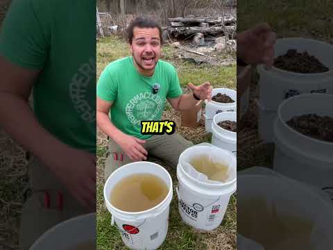 Handfuls of Compost: Big Impact for Your Garden!