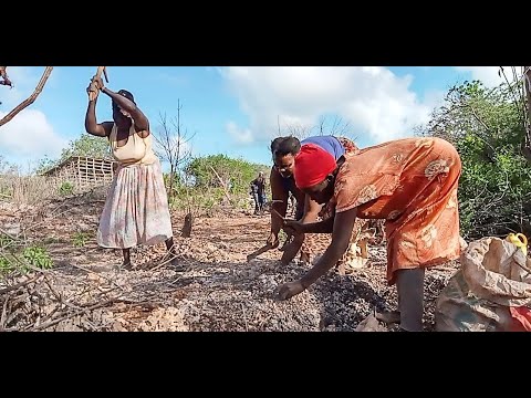 Digging to survive: The female quarry workers toiling in Lamu