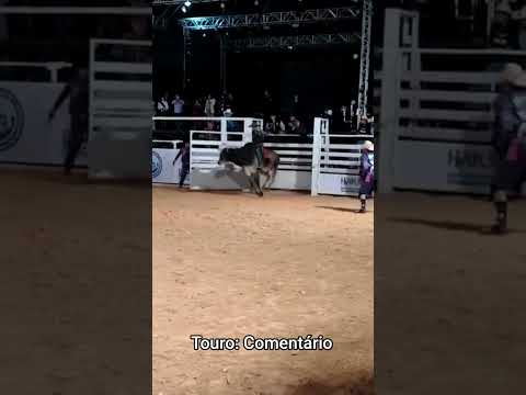 Festa de peão De Ilicínea-MG Touro: Comentário @ciamarcosroberto #rodeo #circuitoranchoprimavera