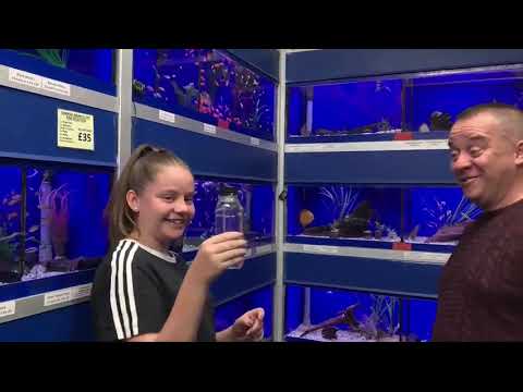 Saturn Magic - TROPICAL TWIST ZERO by Zero Point Magic - Trick