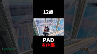 12歳PAD最強のキル集【Raining Tacos】