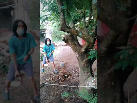 Masipag Ako!!!                                                     Weak Paralyzed Left Arm