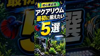 【初心者必見】アクアリウムを始めるなら最初に揃えたいもの5選