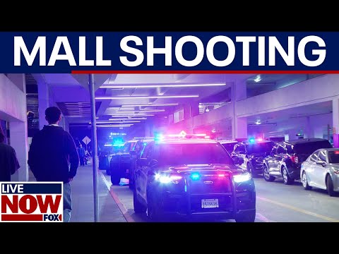 Video | Black Friday mall shooting: 3 wounded by gunfire