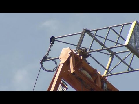 Raccoon seen climbing up crane in downtown Toronto