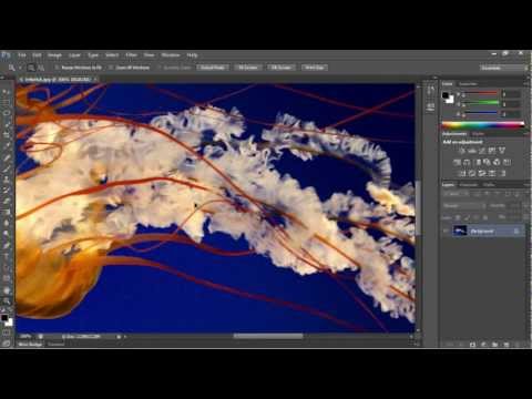 How to Create Animation in Photoshop CS6
