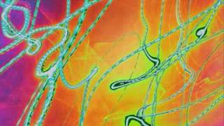 Pretty Rave Girl - I Am X-Ray