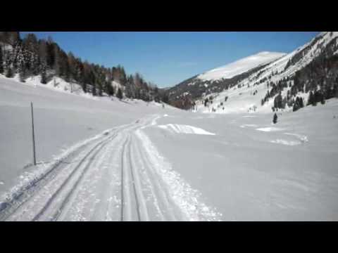 Langlaufen in Schönfeld