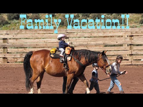 Family Vacation At Black Mountain Ranch