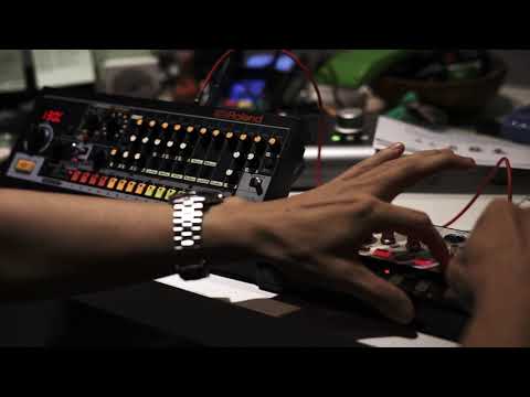 ROLAND TR 08+VOLCA BASS