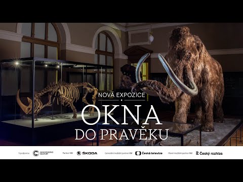 Náhled pro video reference