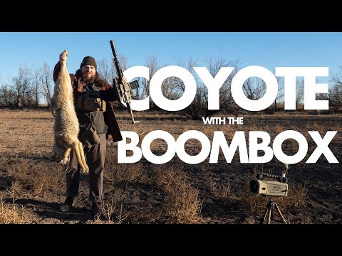 Q  |  Coyote Hunting with the BoomBox