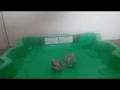 Lost luinor vs storm spryzen