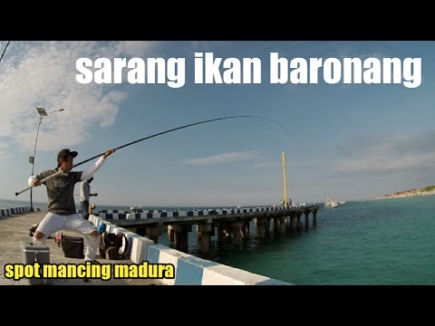 download lagu mp3 mp4 Casting Maduras, download lagu Casting Maduras gratis, unduh video klip Casting Maduras