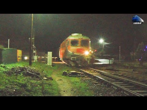 Trenuri pe Seară în Gara Bratca/Evening Trains in Bratca Station - 28 November 2020