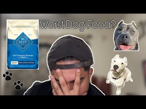 Dog Food Review: Blue Buffalo