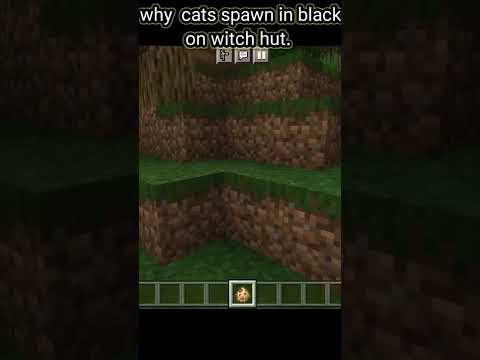 Faltu Gaming - why cats are black in witch hut #mcpehindi #gaming #shorts #minecraft #faltugaming #facts #funny