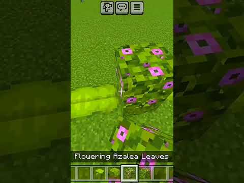 Hussain_Gamerz Minecraft Amazing Hack! MUST SEE!!