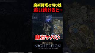 魔術師塔の切り株を追い続けると・・・【ナイトレインDLC】　#ナイトレインDLC #ナイトレイン #エルデンリング #エルデン #eldenring #切り株