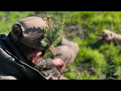Jagderfolg auf der ersten Pirsch - Beginn des Videotagebuches