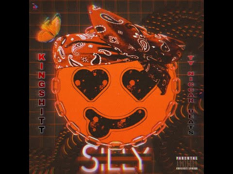 Kingshitt HrN  x  Ty Niccar Beats - SILLY (Official Video)